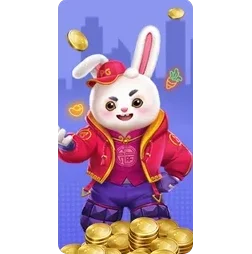 Fortune
Rabbit slot cover